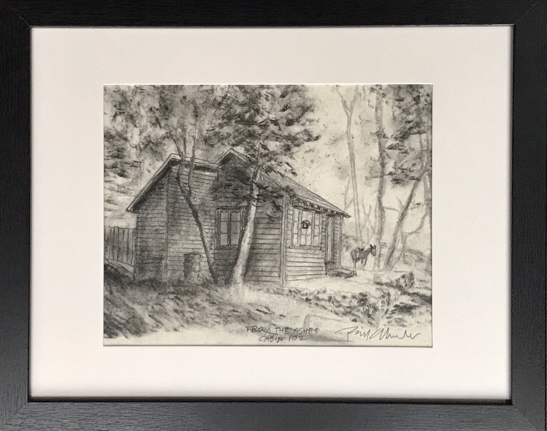 Cabin 102