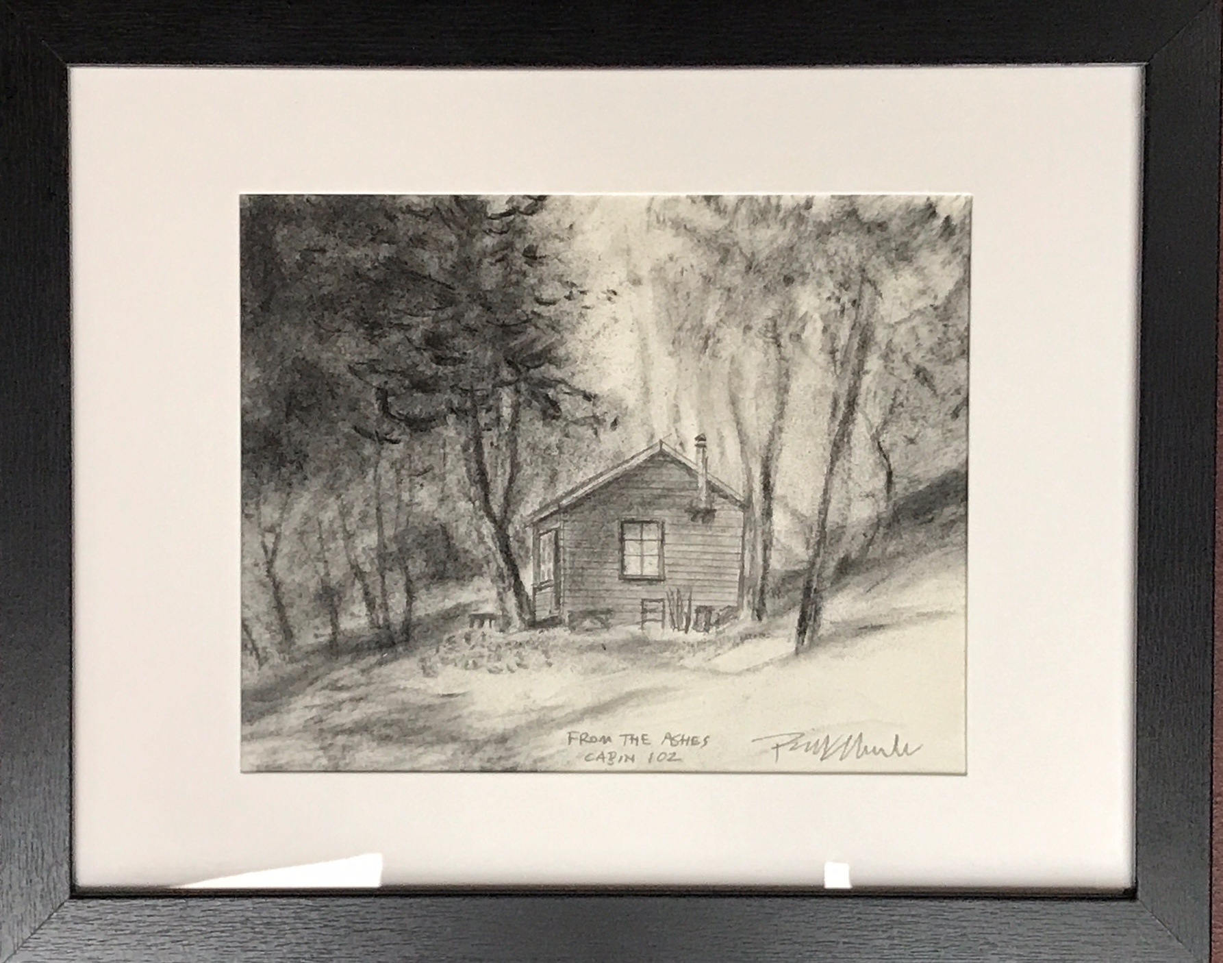 Cabin 102